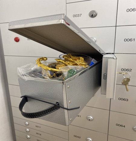 Biometric control safe deposit locker